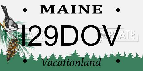 I29DOV Maine License Plate
