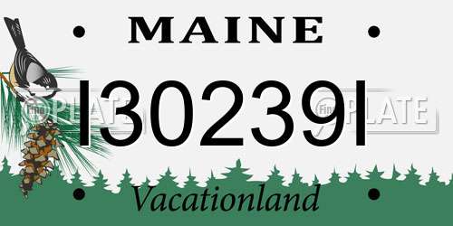 I30239I Maine License Plate
