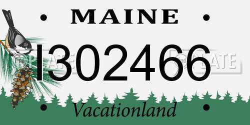 I302466 Maine License Plate