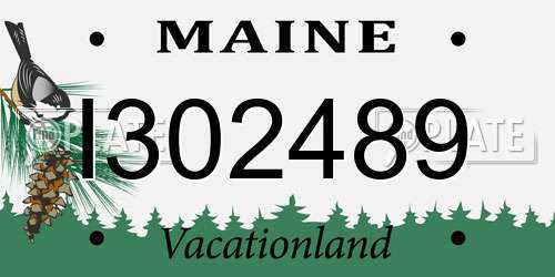 I302489 Maine License Plate