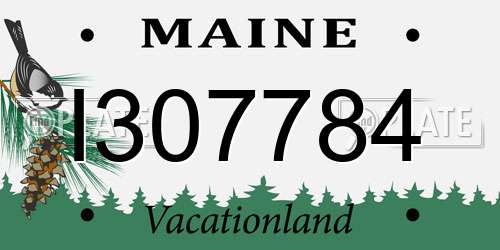 I307784 Maine License Plate