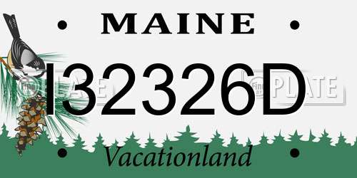 I32326D Maine License Plate