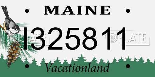 I325811 Maine License Plate