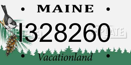 I328260 Maine License Plate