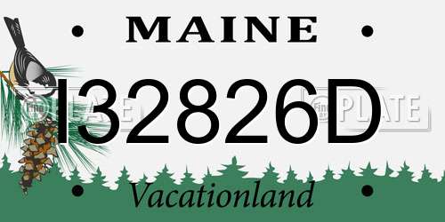 I32826D Maine License Plate