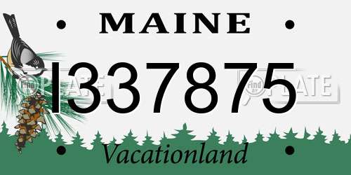 I337875 Maine License Plate