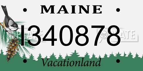 I340878 Maine License Plate