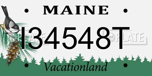I34548T Maine License Plate