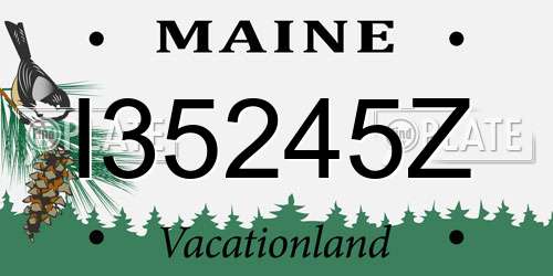 I35245Z Maine License Plate