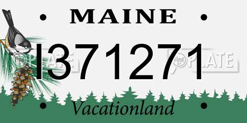 I371271 Maine License Plate