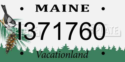 I371760 Maine License Plate