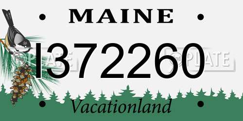 I372260 Maine License Plate