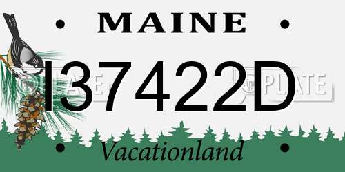 I37422D Maine License Plate