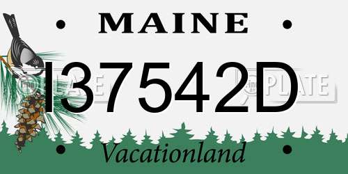 I37542D Maine License Plate