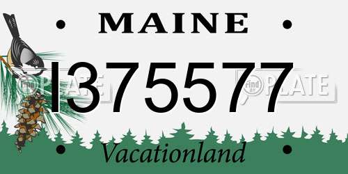 I375577 Maine License Plate