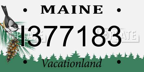 I377183 Maine License Plate