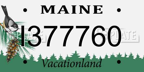 I377760 Maine License Plate