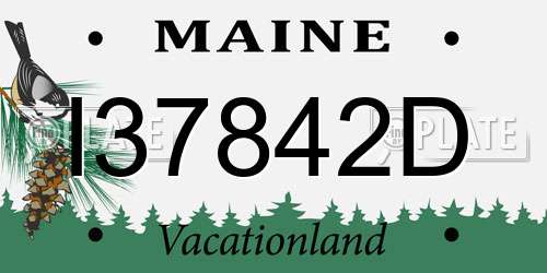 I37842D Maine License Plate