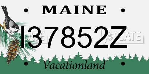 I37852Z Maine License Plate
