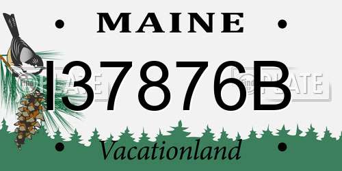 I37876B Maine License Plate