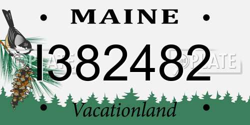 I382482 Maine License Plate