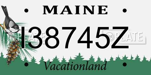 I38745Z Maine License Plate