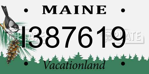 I387619 Maine License Plate