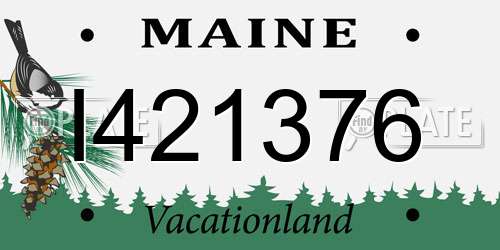 I421376 Maine License Plate