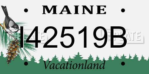I42519B Maine License Plate