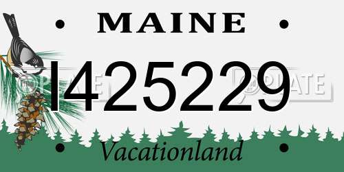 I425229 Maine License Plate