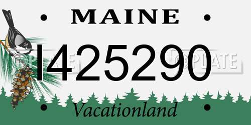 I425290 Maine License Plate