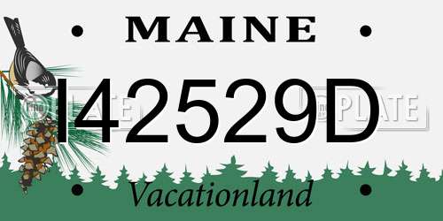 I42529D Maine License Plate
