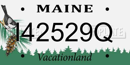 I42529Q Maine License Plate