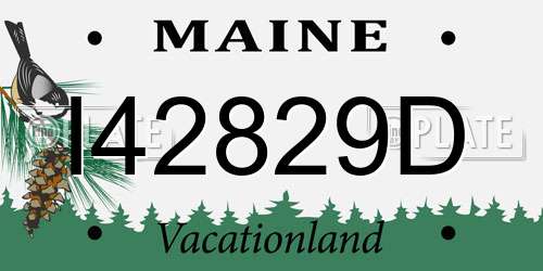 I42829D Maine License Plate