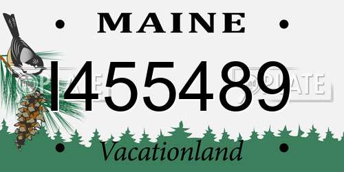 I455489 Maine License Plate