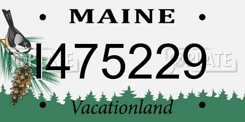 I475229 Maine License Plate