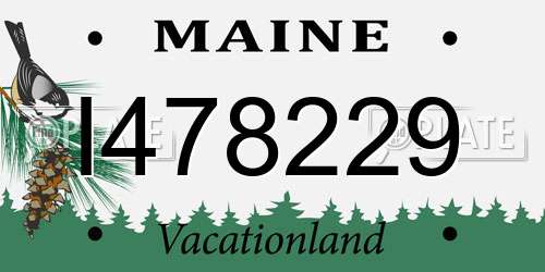 I478229 Maine License Plate