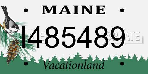 I485489 Maine License Plate