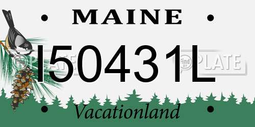 I50431L Maine License Plate