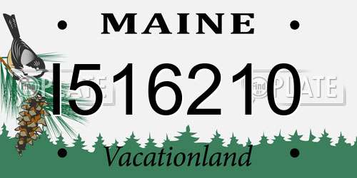 I516210 Maine License Plate