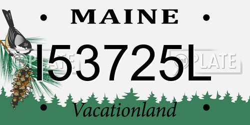 I53725L Maine License Plate