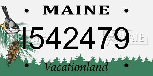 I542479 Maine License Plate