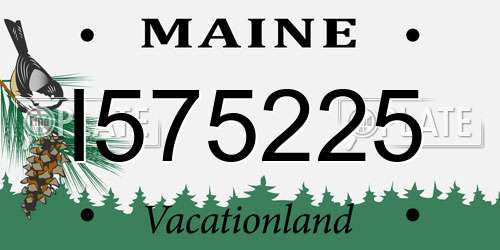 I575225 Maine License Plate