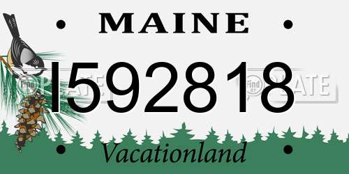 I592818 Maine License Plate