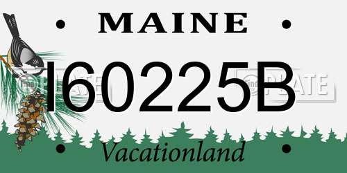 I60225B Maine License Plate