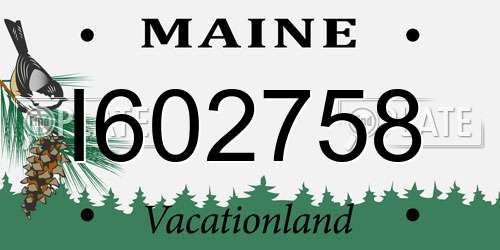 I602758 Maine License Plate