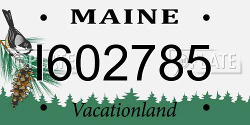 I602785 Maine License Plate