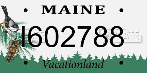 I602788 Maine License Plate