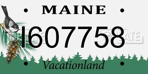 I607758 Maine License Plate