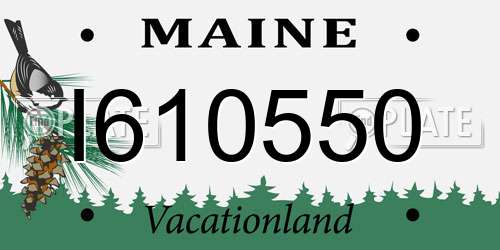I610550 Maine License Plate